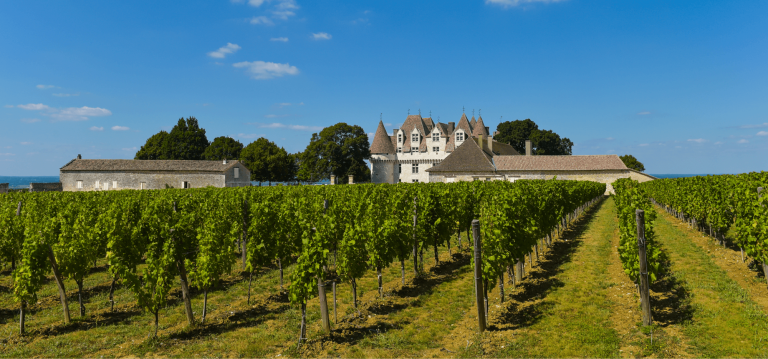 visiter un vignoble à Bordeaux